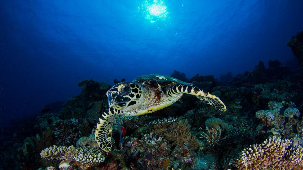 Thulhaadhoo Vakkaru Maldives - 30 Percent Off On Seaplane Transfers For Stays Until 19 Dec 2025 מראה חיצוני תמונה